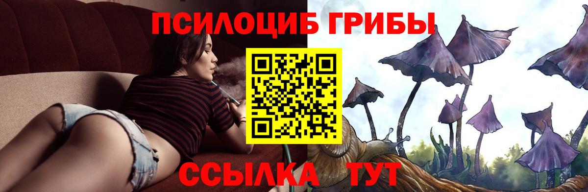 Сунжа  Галлюциногенные грибы прущие грибы  Вход с VPN  Псилоцибиновые грибы Psilocybine cubensis 