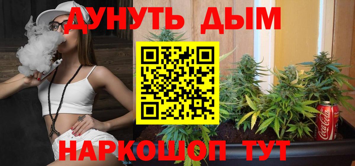 МАРИХУАНА планчик  Вход с VPN  Марихуана Amnesia  Сунжа  Каннабис конопля 
